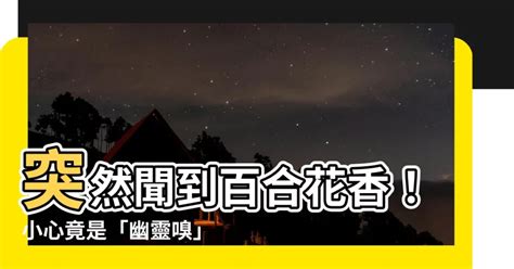 突然聞到百合花香|聞到不存在的臭味，你「幽靈嗅」了嗎？ 